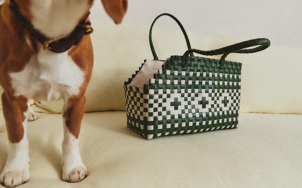 حقيبة للحيوانات الأليفة