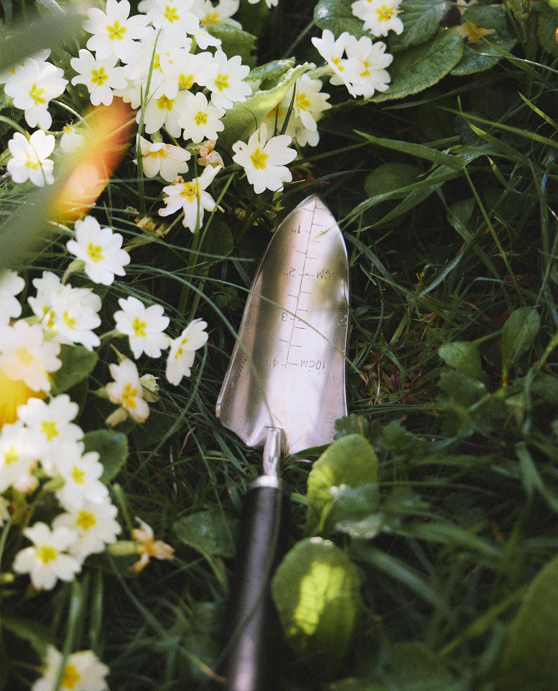 SMALL GARDEN SHOVEL SMALL GARDEN SHOVEL