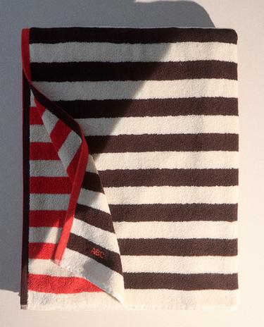 DVIPUSIS DRYŽUOTAS PAPLŪDIMIO RANKŠLUOSTIS