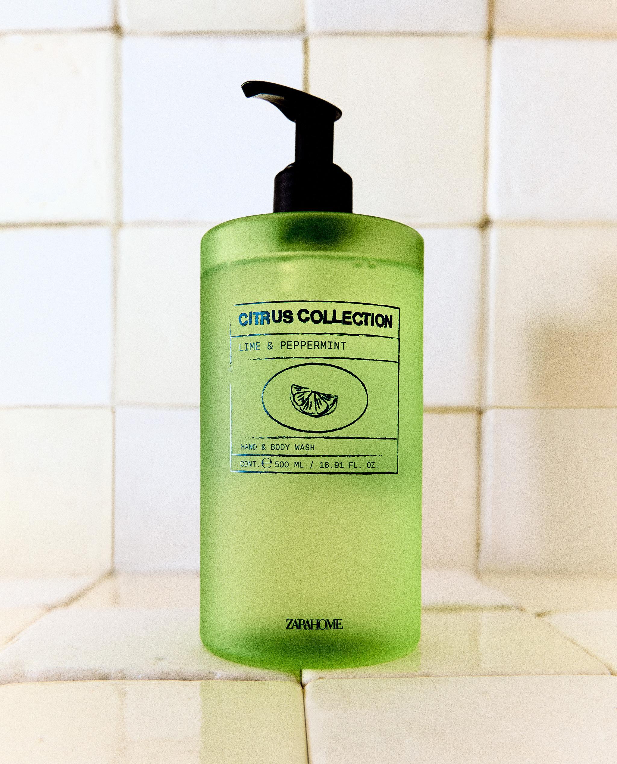 500 ML) LIME & PEPPERMINT LIQUID SOAP | Zara Home Canada