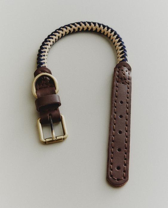 طوق بحبل للحيوانات الأليفة طوق بحبل للحيوانات الأليفة