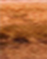 RATTAN FRUIT BASKET product thumbnail 2