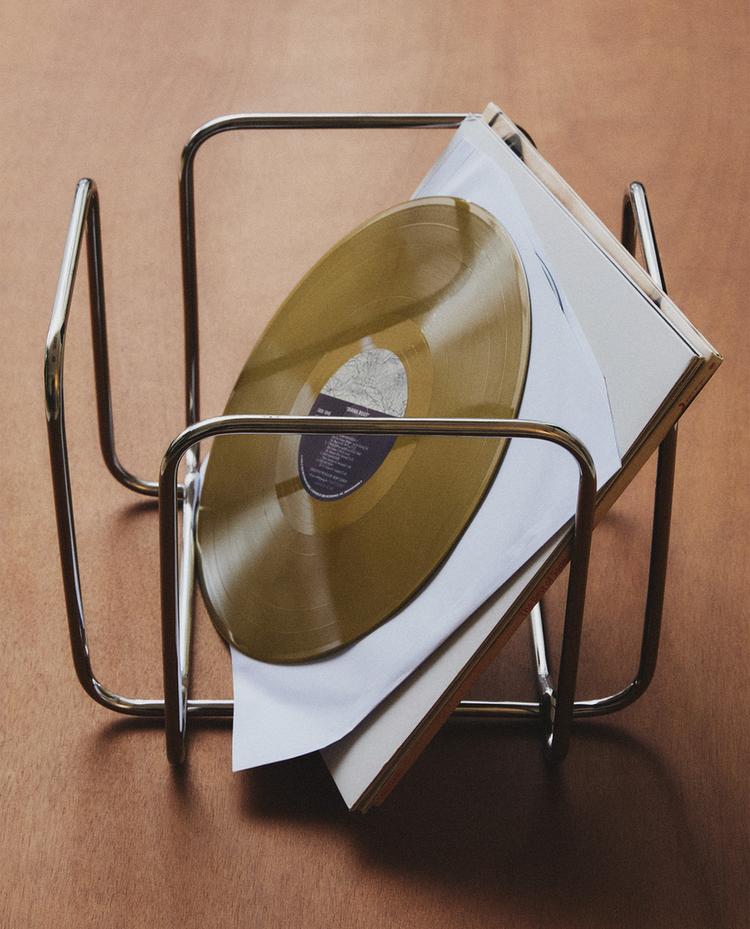 STAINLESS STEEL VINYL ORGANISER STAINLESS STEEL VINYL ORGANISER