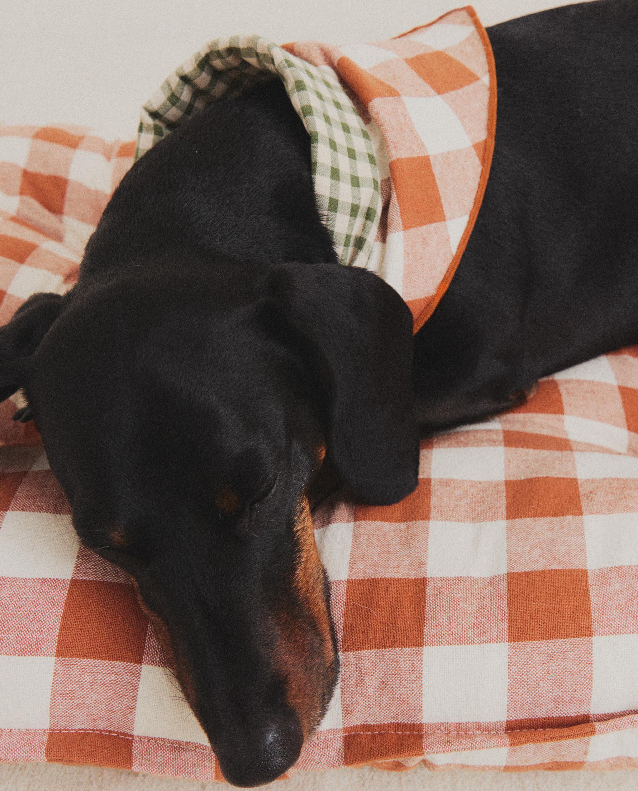 GINGHAM PET TOPPER product thumbnail 9
