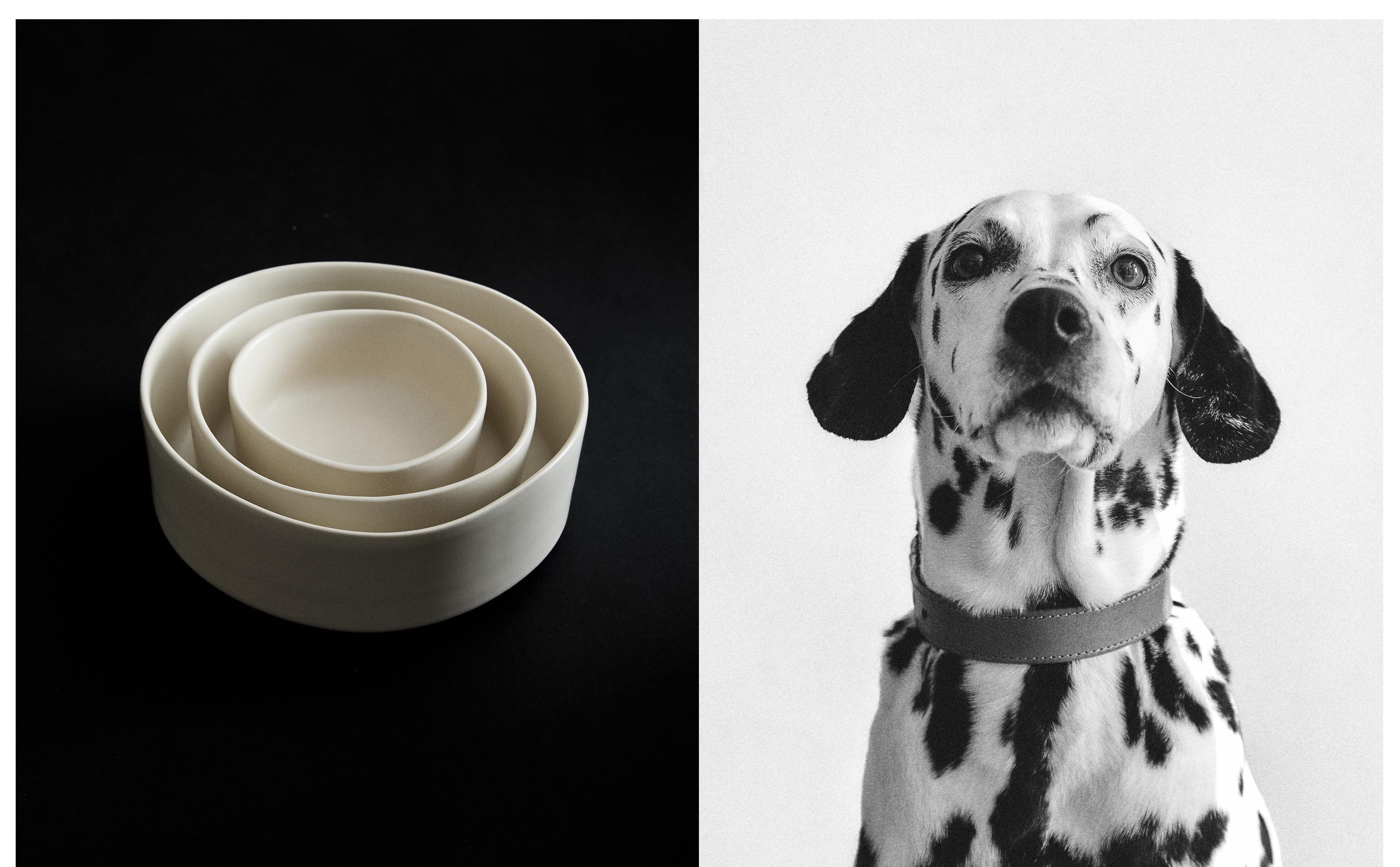 STONEWARE PET FOOD BOWL product thumbnail 11
