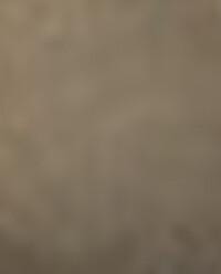 (120 ML) ETERNAL MUSK REED DIFFUSERS product thumbnail 7