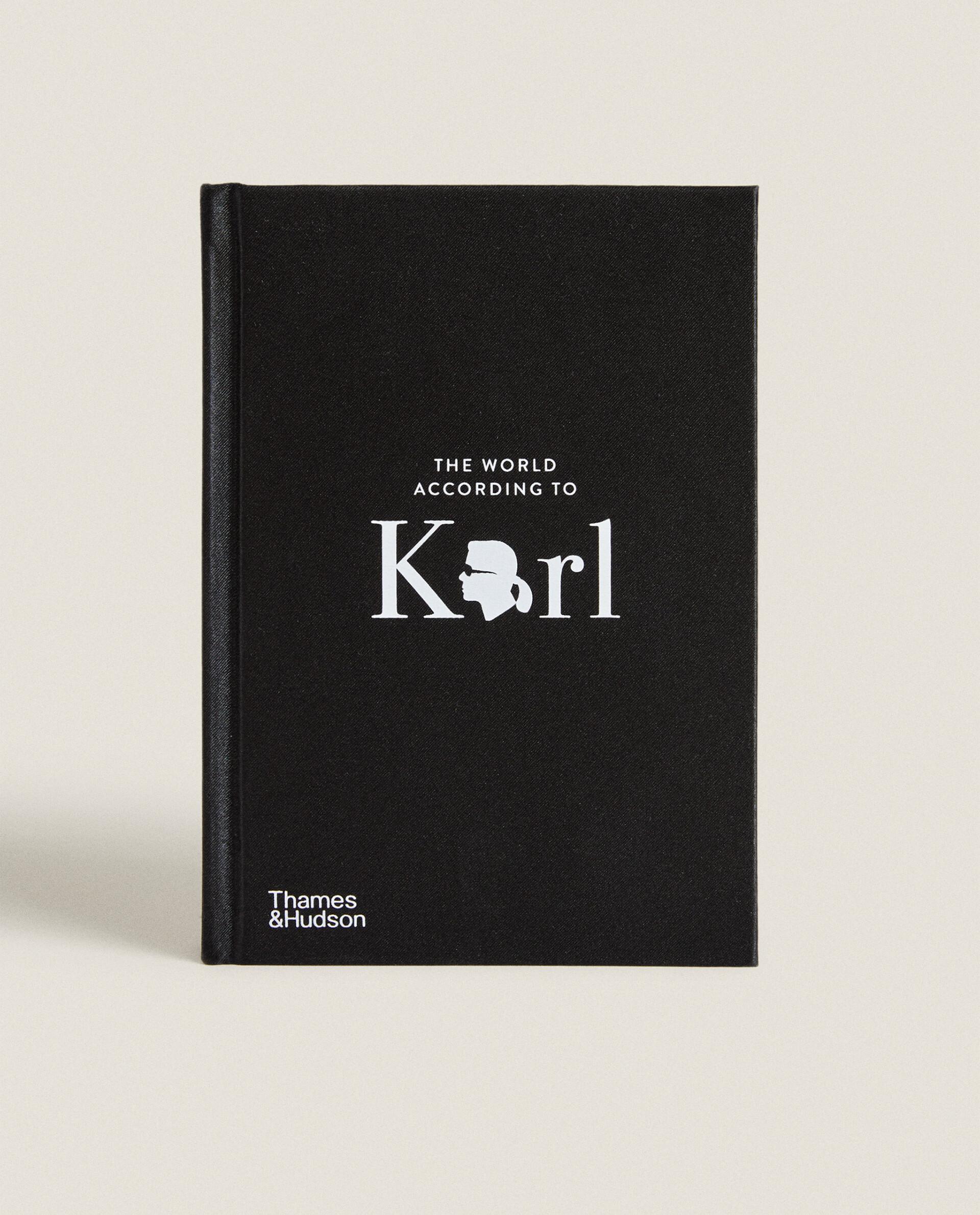 THE FACE OF THE CENTURY 洋書 THE FACE OF THE CENTURY 洋書 洋書多読】『Who Was Louis