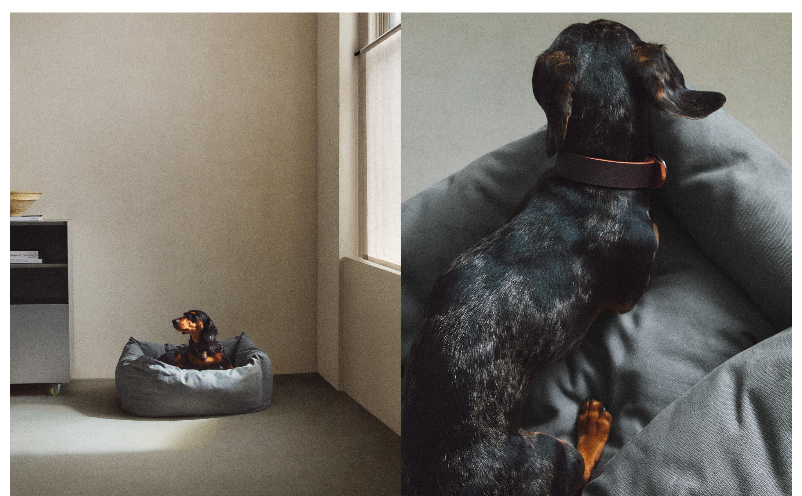 COTTON CANVAS PET BED