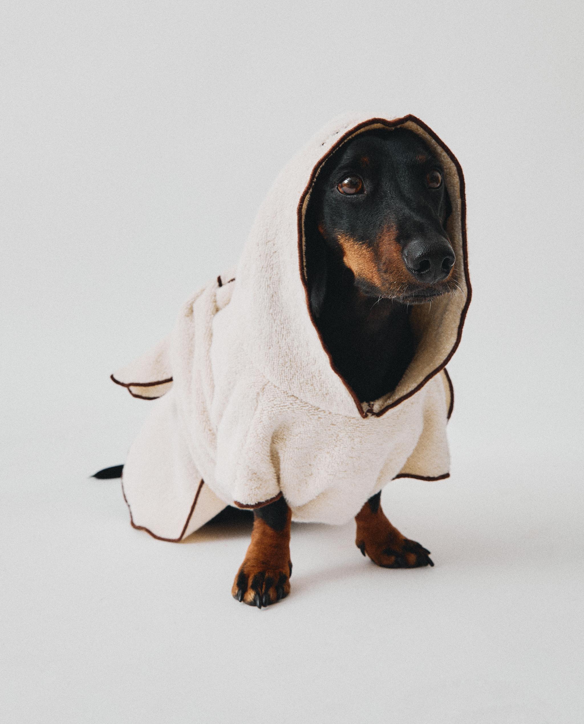 COTTON DRESSING GOWN WITH PETS product thumbnail 14