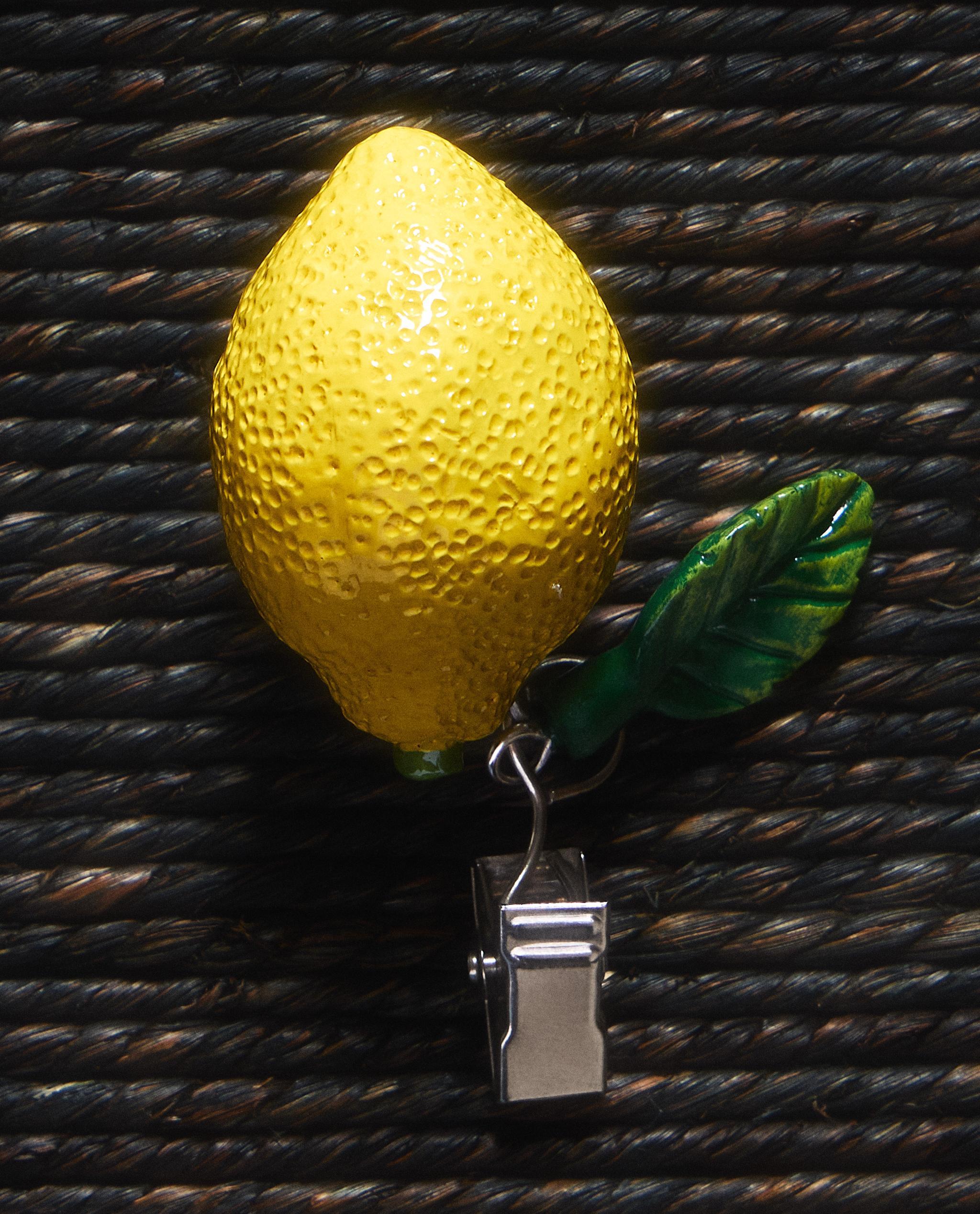 PACK OF LEMON PRINT TABLECLOTH CLIPS (PACK OF 4) product thumbnail 12