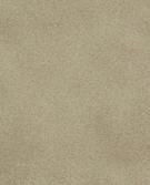 ΚΑΦΕ ΠΟΝΤΙΚΙ