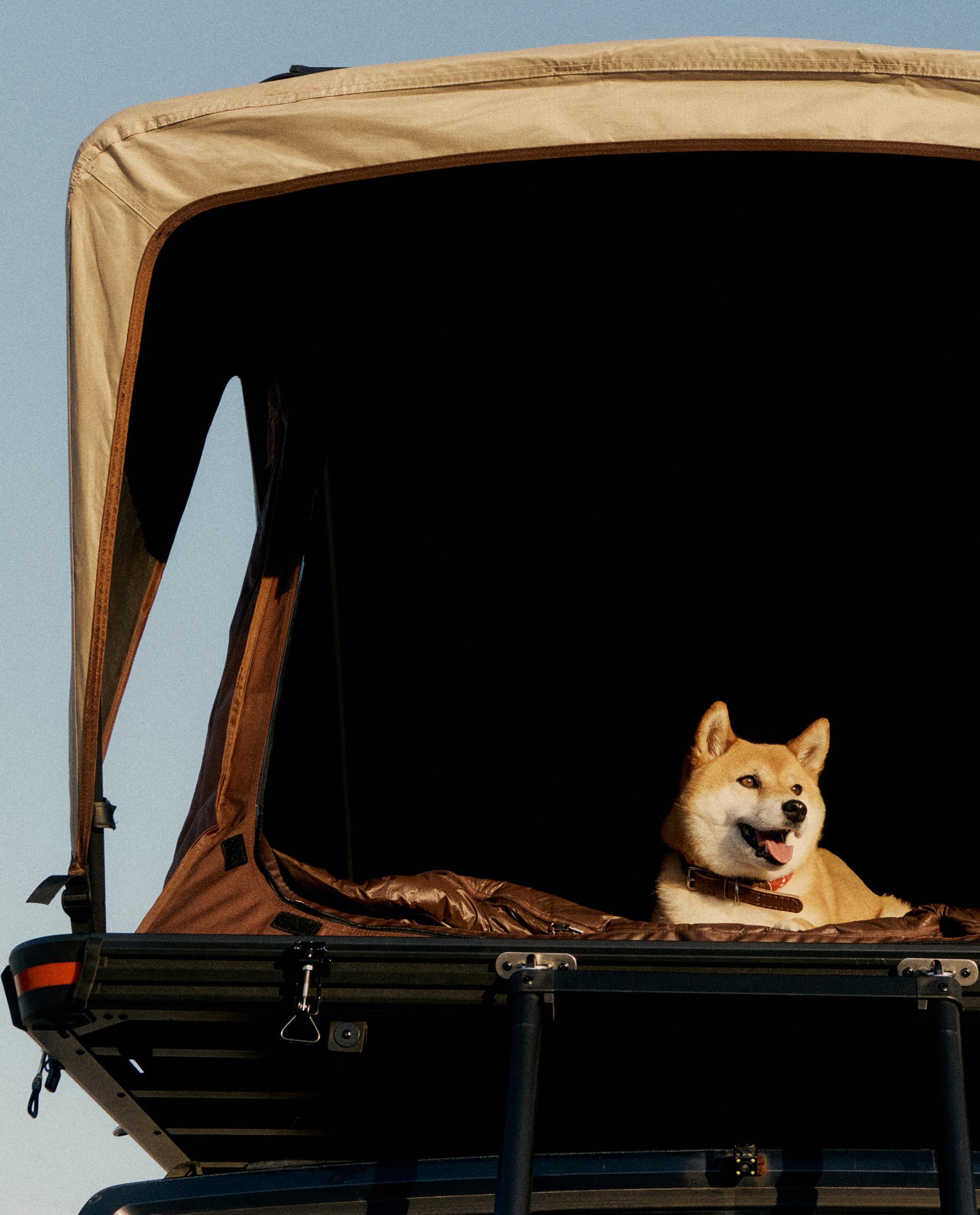CAR ROOF TENT AND TREKKING BOOTS product thumbnail 15