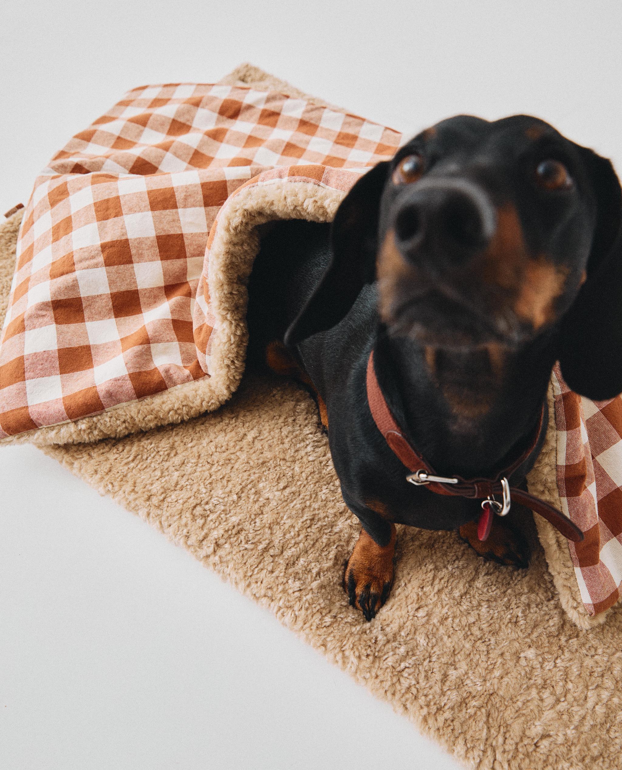 GINGHAM PET BLANKET product thumbnail 12
