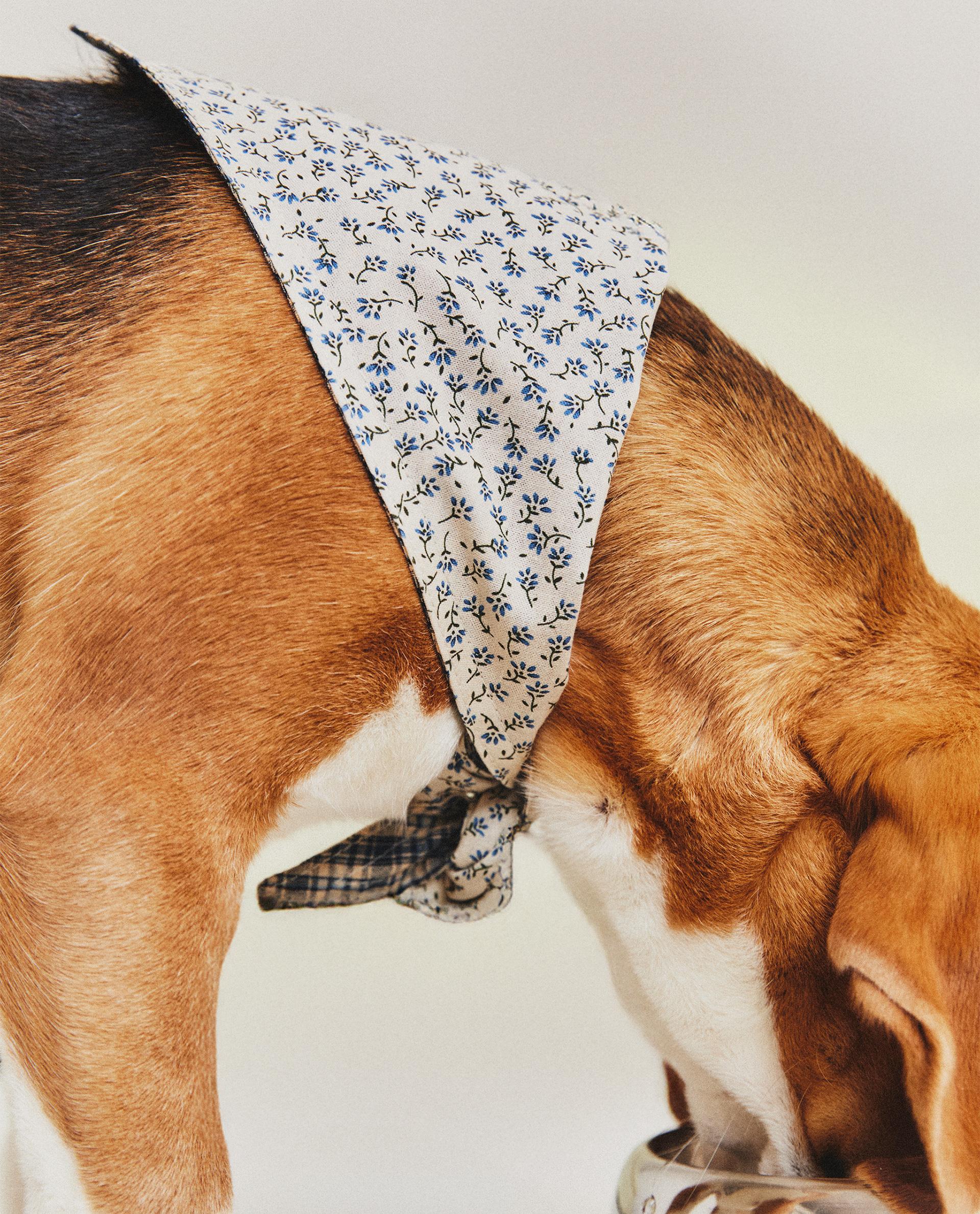 FLORAL COTTON PET BANDANA FLORAL COTTON PET BANDANA
