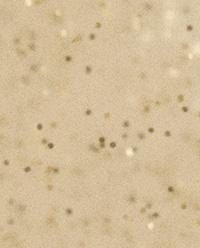 KIDS’ GLITTER STAR BATHROOM SET product thumbnail 10